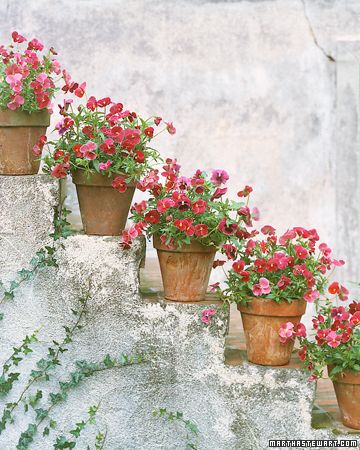 Flower pots ideas for garden