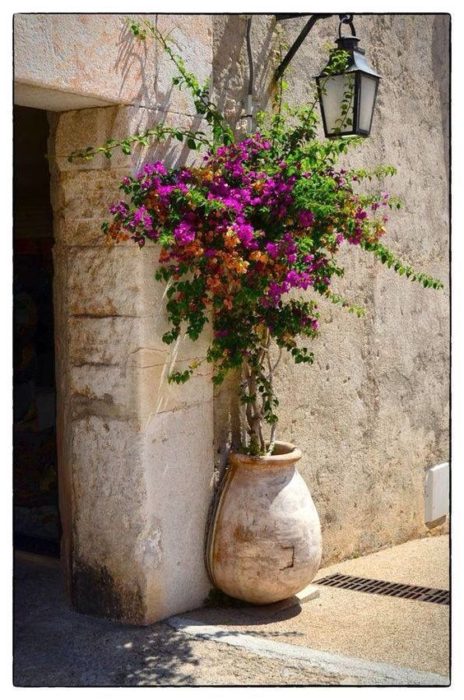 Front door flower pot