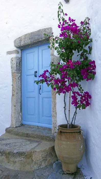 Greece home decor with plants