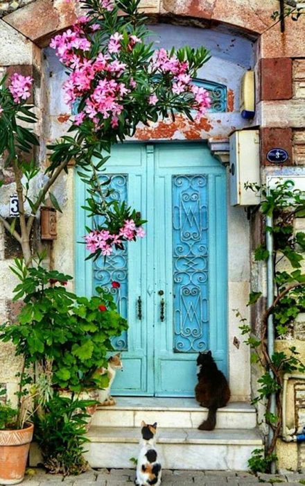 Home decor with plants and pots - blue door
