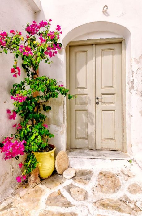 Lefkes Greece home decor with plants