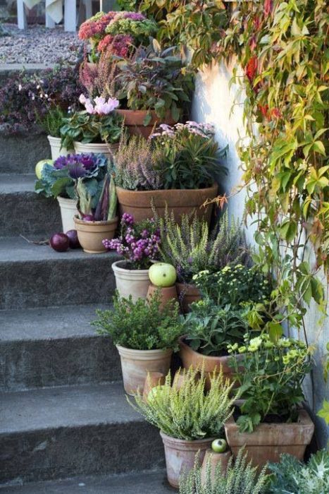 Steps decor with flower pots