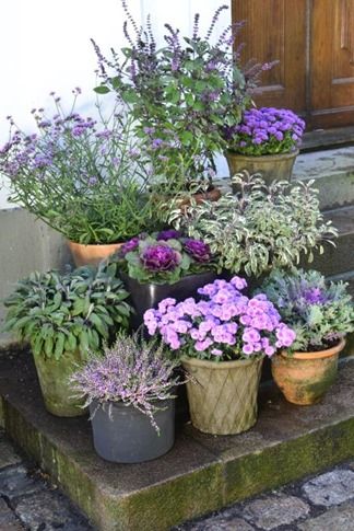 Steps decor with lilac flower pots